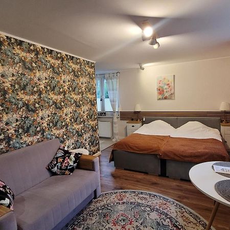 Apartament Przy Parku Наленчув Екстер'єр фото